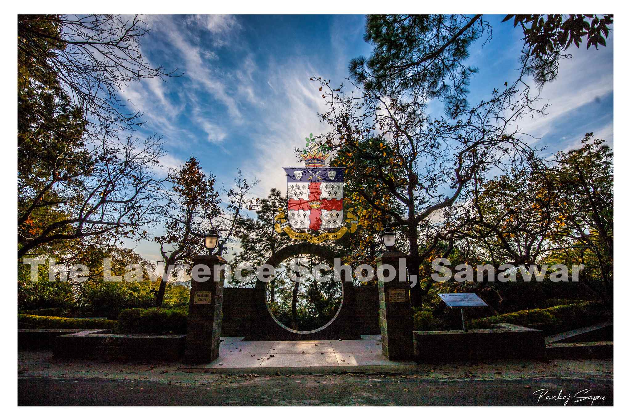 Warrior's Grove