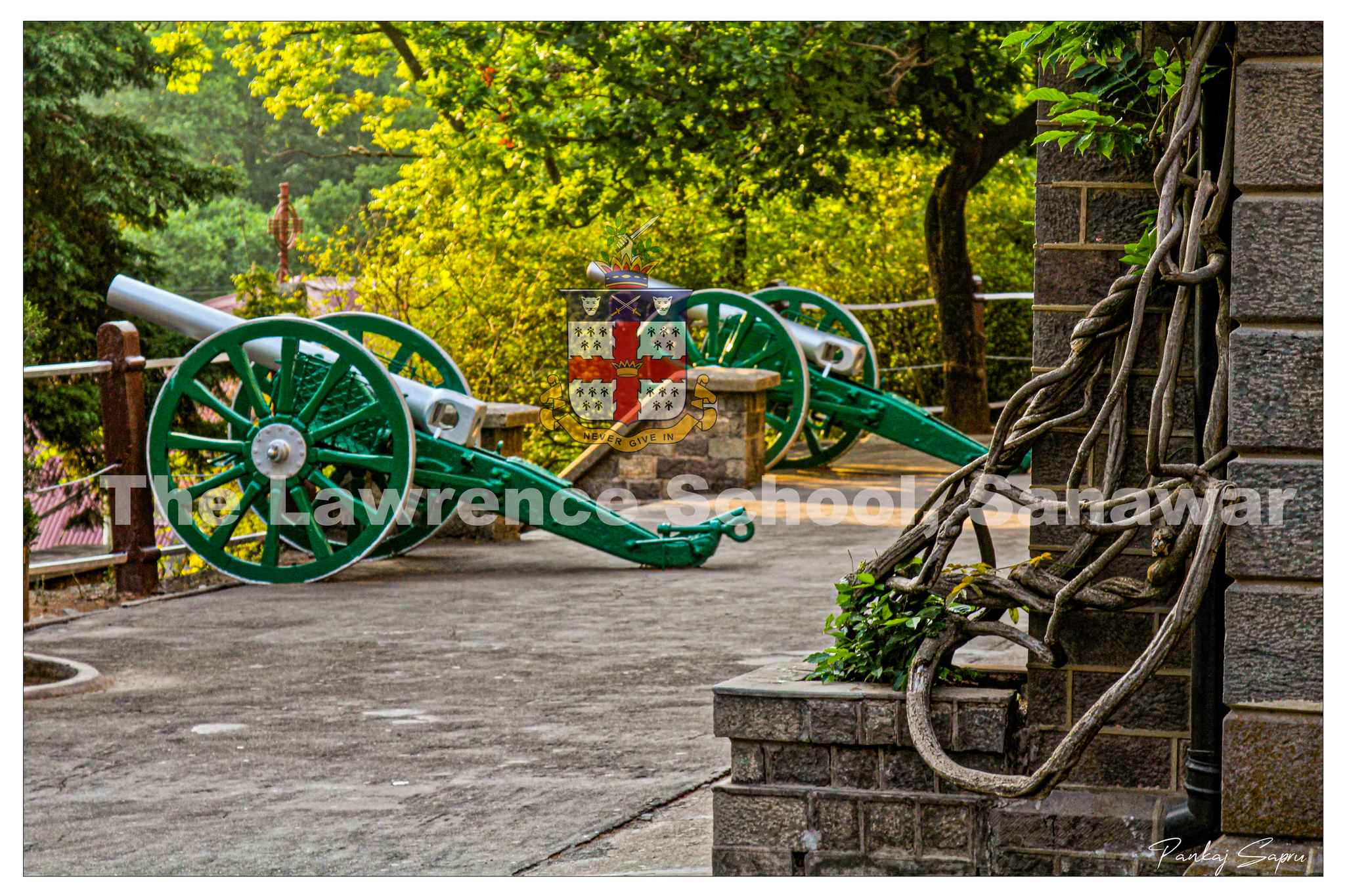 Cannons