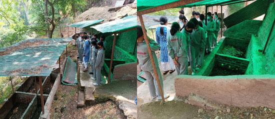 Vermicomposting Club Activity (May, 2022)